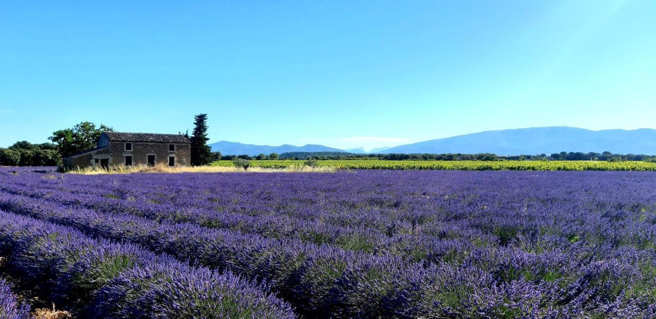 Vila L'Instant Provence Valréas Exteriér fotografie