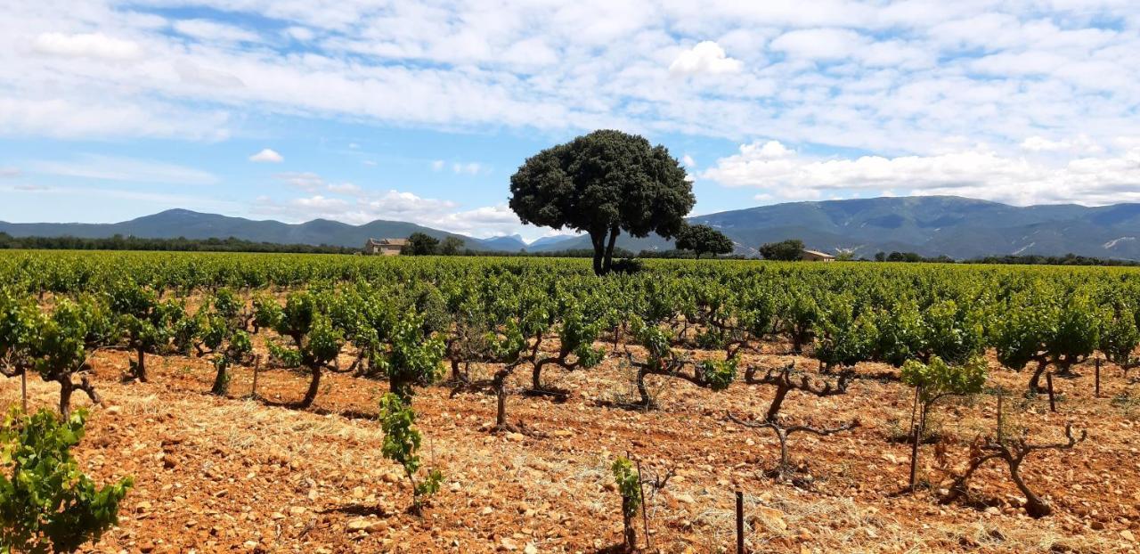 Vila L'Instant Provence Valréas Exteriér fotografie